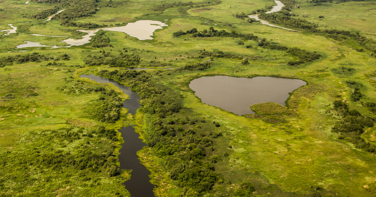 World Wetlands Day: Our Contribution