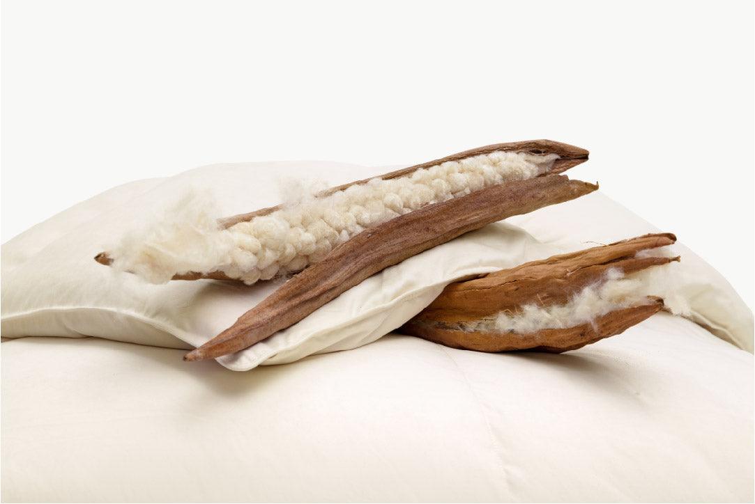 Kapok vs. Eucalyptus: A Sustainable Fiber Comparison - Rewardown