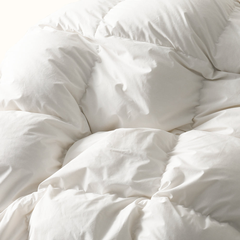 LoopLuxe Down Comforter